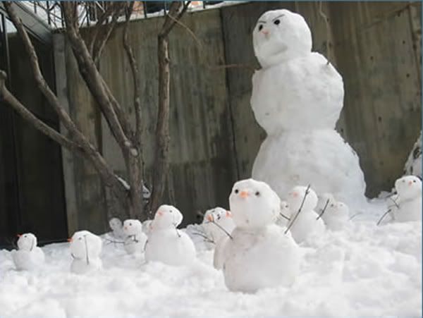 CalvinNieve9.jpg