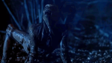 tumblr_lo0jilaDMY1qfmqruo1_500.gif