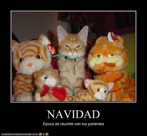 0b74c5ce-7bab-4cd6-af2c-d159bc34b491.jpg