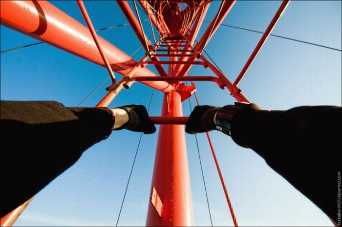 rooferstyry60.jpg