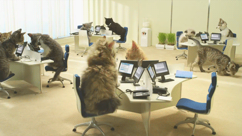 tumblr_lue1hkW9aS1r6o2p6o1_500.gif
