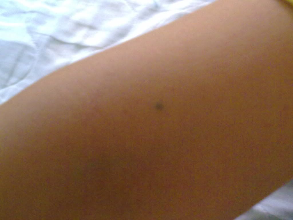 26092010448.jpg