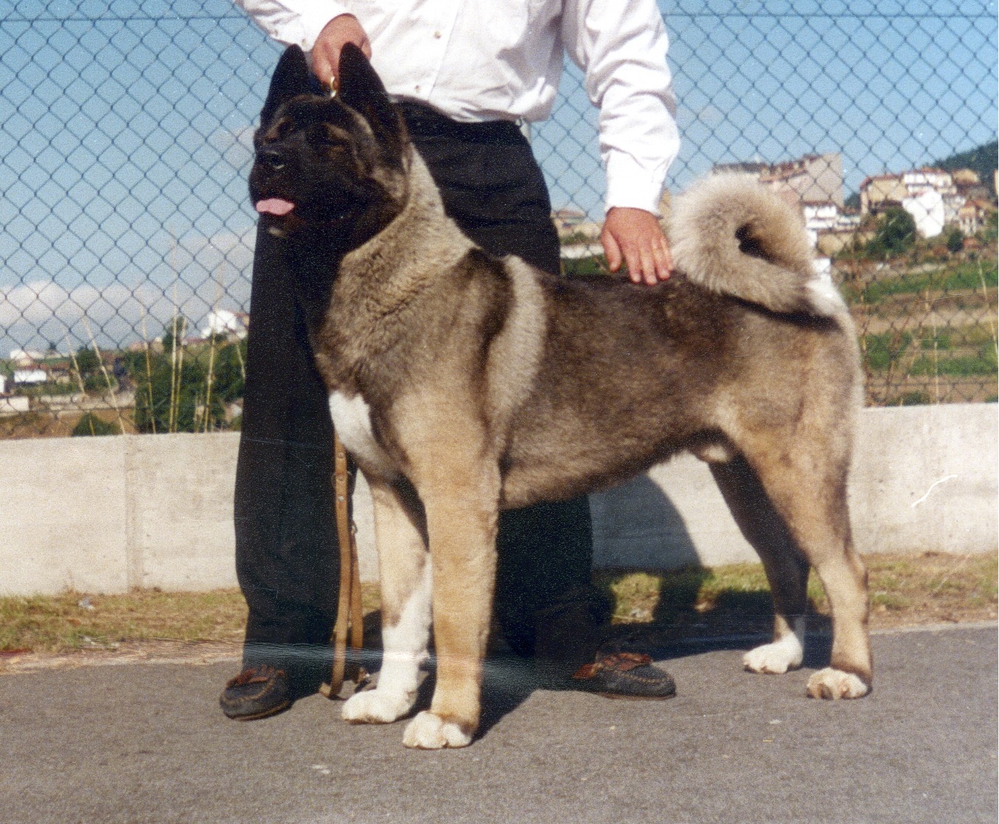padrecamada2006.jpg