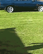 tumblr_lxr1xxVZnP1qfjjglo2_250.gif