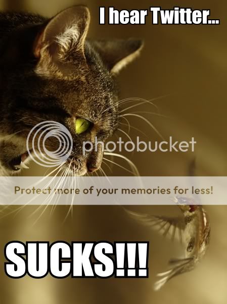 i_hear_twitter_sucks_trollcat.jpg