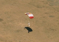 tumblr_mbwc54V95p1r42dwro9_250.gif