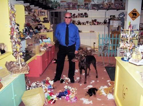 dogs-making-a-mess-19-4.jpg