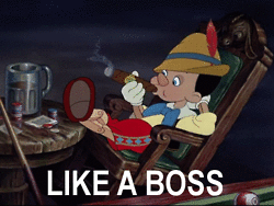 tumblr_lwik1cPlW41r8q0iuo2_250.gif