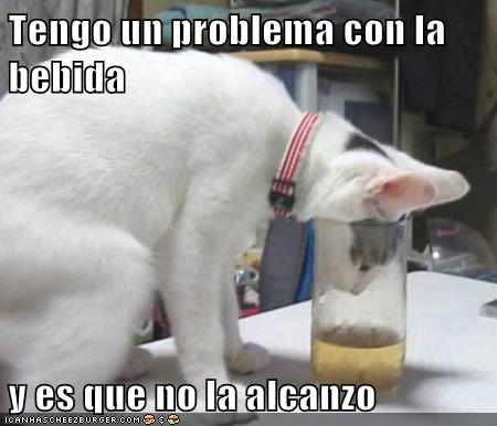 1bd5d72a-5f6d-4ea7-9160-1d10e91c0e21.jpg