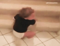 tumblr_lxehshRf9v1qgl8oco6_r1_250.gif