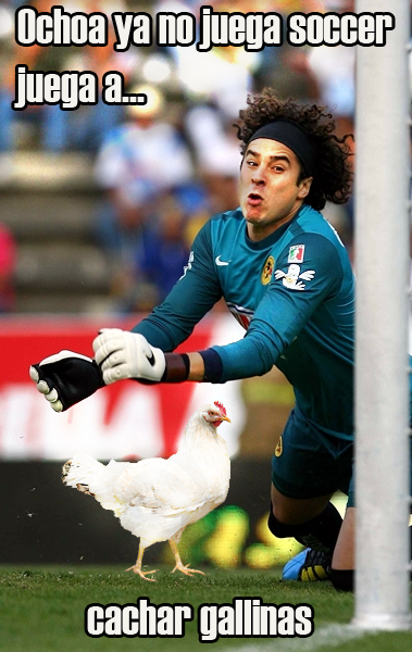 cachargallinas.png