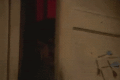 1280087244003.gif