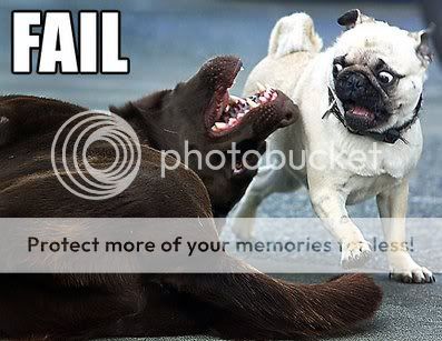 doggyFAIL.jpg