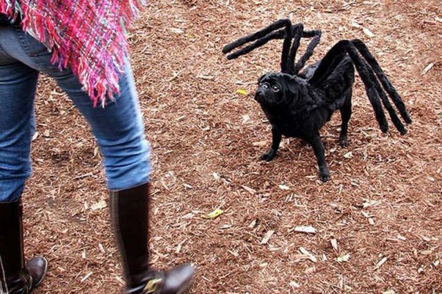 happy_halloween_640_02.jpg