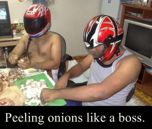 tumblr_lxgdc54y2U1qkeaayo1_500.jpg