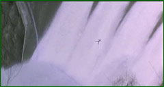 larivale3_film.jpg