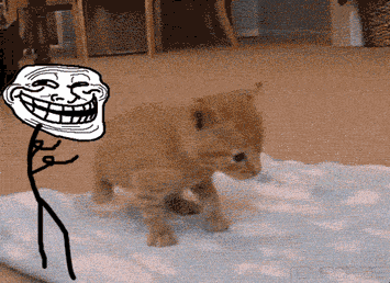 7de73ce2d0d527a07f5c6aa.gif