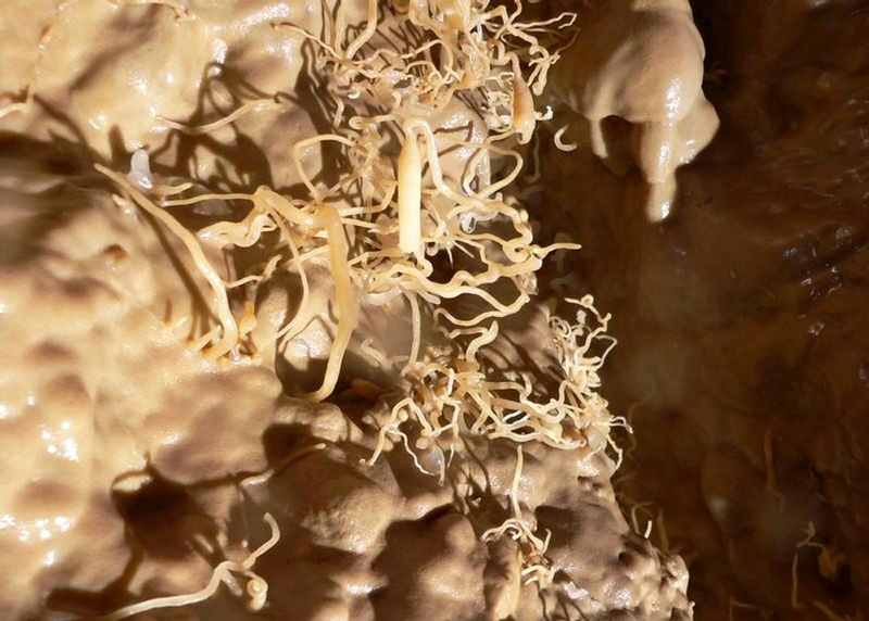 exploringcavesphotos-19.jpg