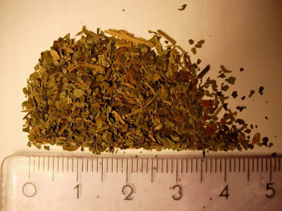 Salvia_divinorum_drug.jpg