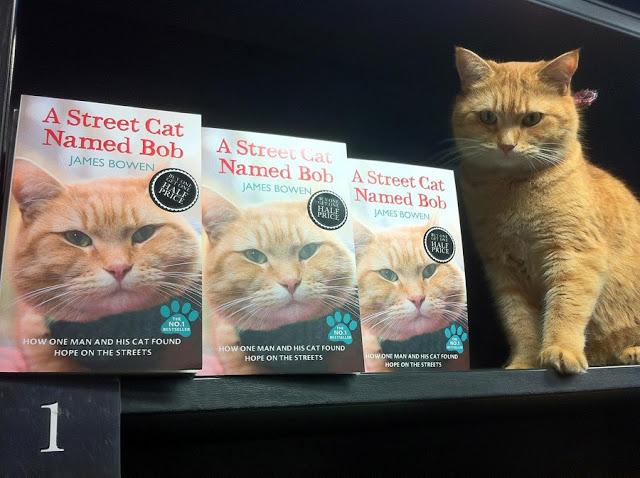 bob-el-gato-callejero-que-cambio-vida-un-musi-L-YeXgYt.jpeg