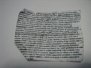 IMG_3700.jpg
