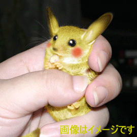 pikachu_fake.gif