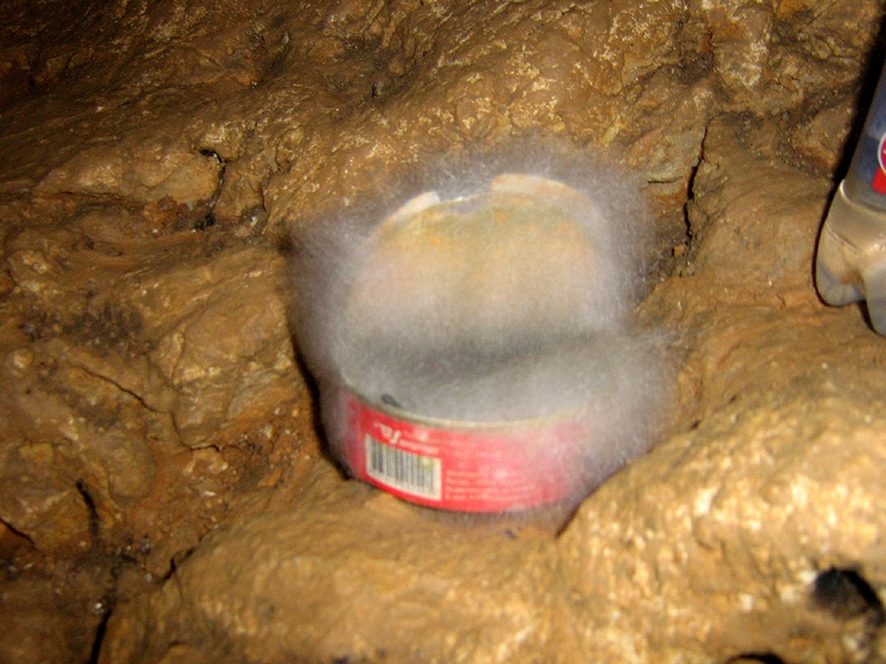 exploringcavesphotos-22.jpg