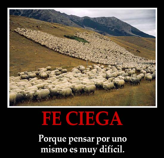 feciega.jpg