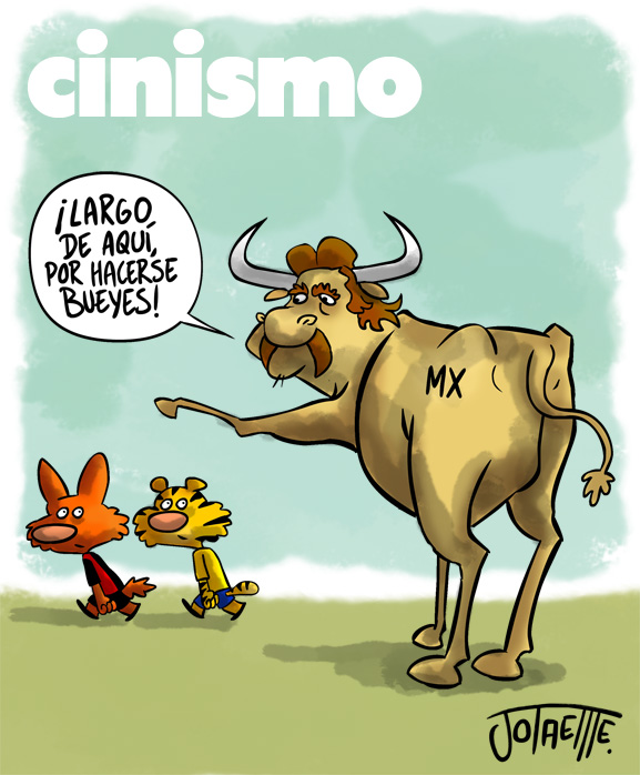 157_chutrazo_11_JUL_12.jpg