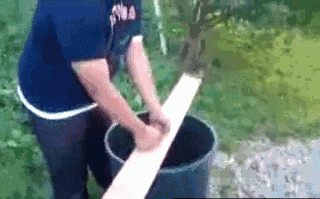 tumblr_m6xnvxN5eI1qbogk6o1_r1_400.gif