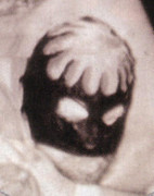gxFWWT0.jpg