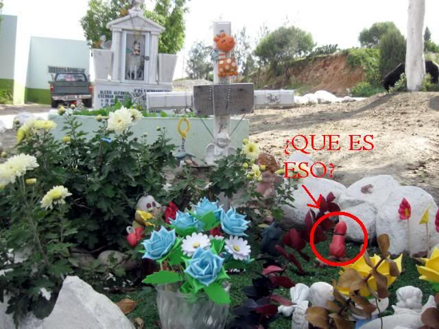 293933-G.jpg