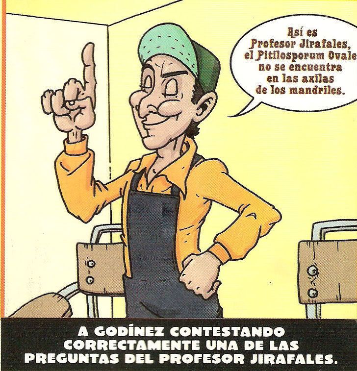 g.jpg