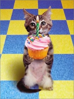 cumpleanos-gatito.jpg