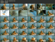 a0a55675424958.gif