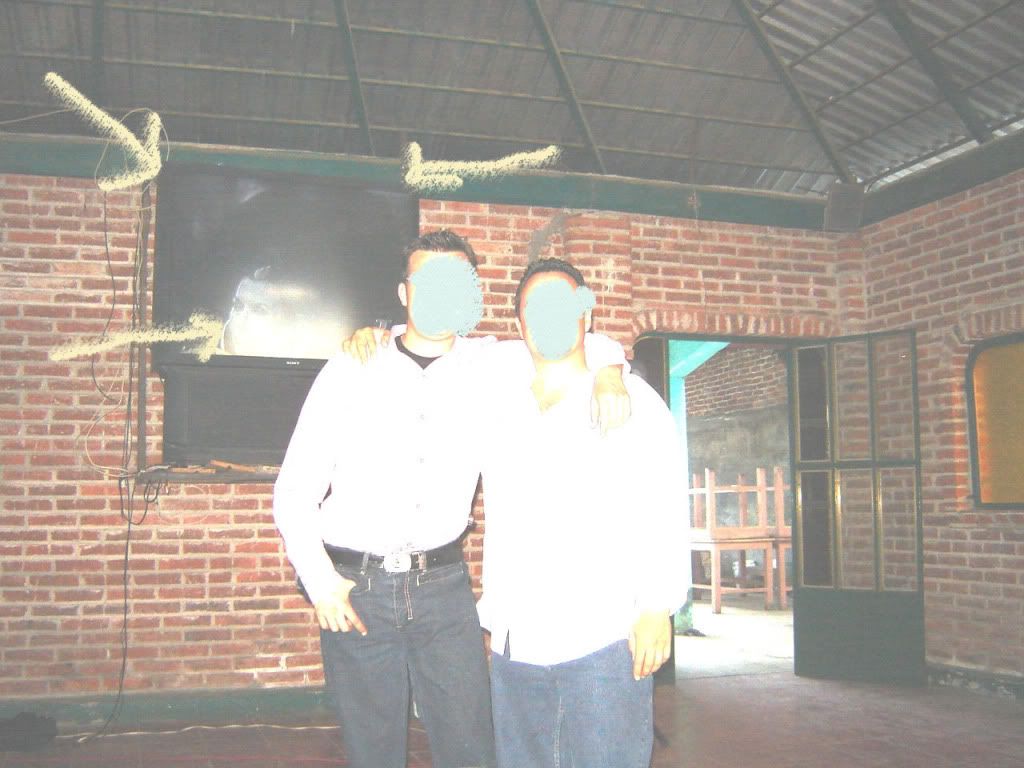 gatoreno.jpg