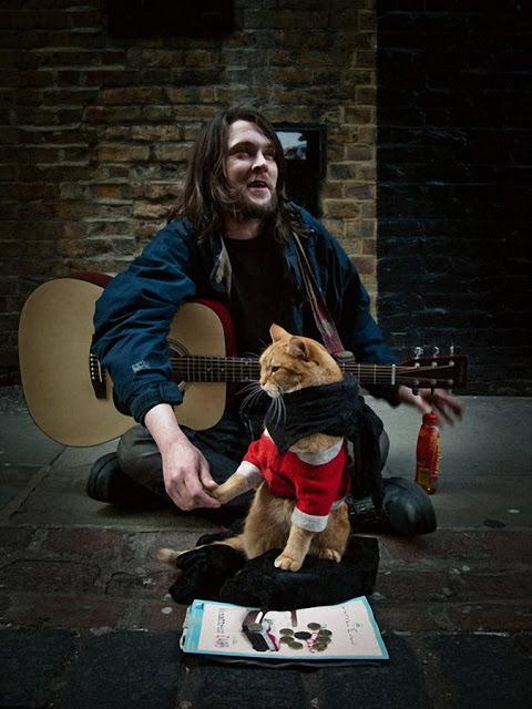 bob-el-gato-callejero-que-cambio-vida-un-musi-L-GJezNd.jpeg
