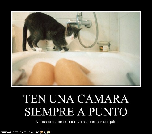 ef48b630-236b-48e3-8510-41abf98b3035.jpg