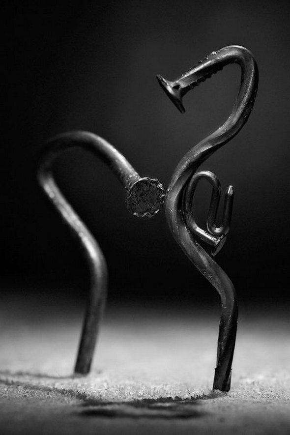 clavos-expresion.jpg