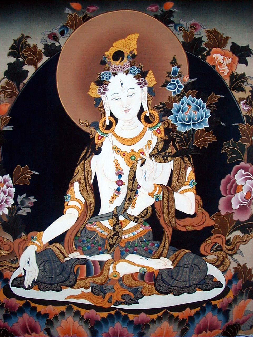 TaraBlanca.jpg