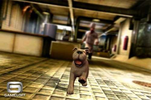 Tintin3.jpg
