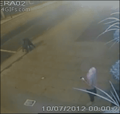tumblr_mgqy94sglI1qdlh1io1_400.gif