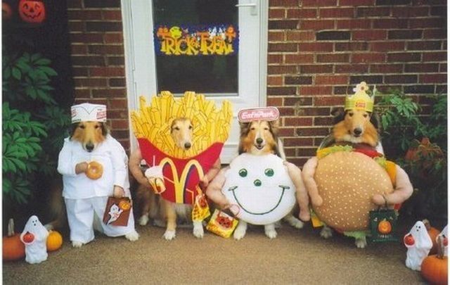 dog-costumes-12.jpg
