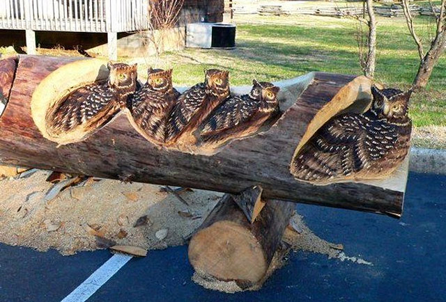 arboles.jpg