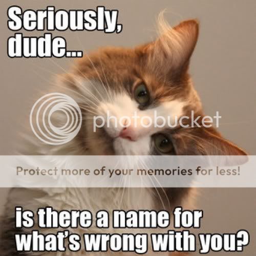 you_are_broken_trollcat.jpg