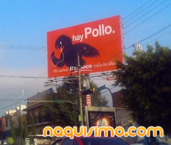 haypollo.png