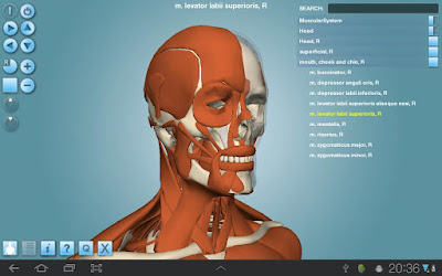 Anatomy+3D+Pro.jpg