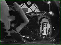 rosebud5_film.jpg