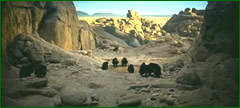 leponey2_film.jpg