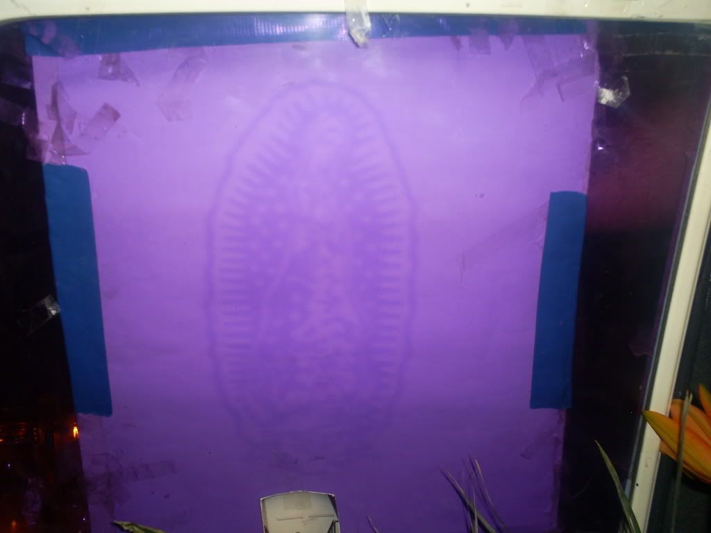 S5030012.jpg